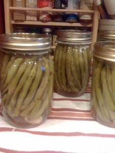 dillybeans