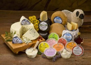sheep_cheese