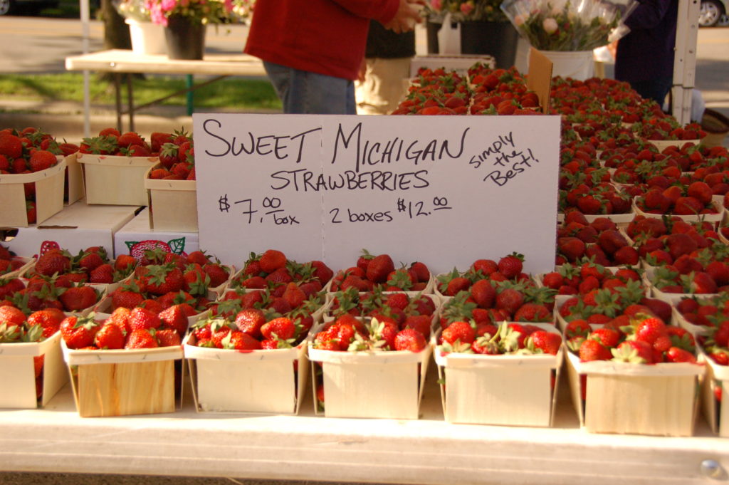 Scenes from the Oak Park Farmers Market West of the Loop