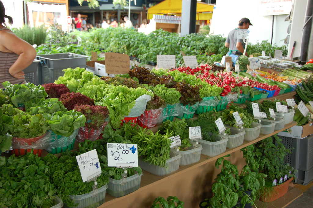 marche jean talon montreal