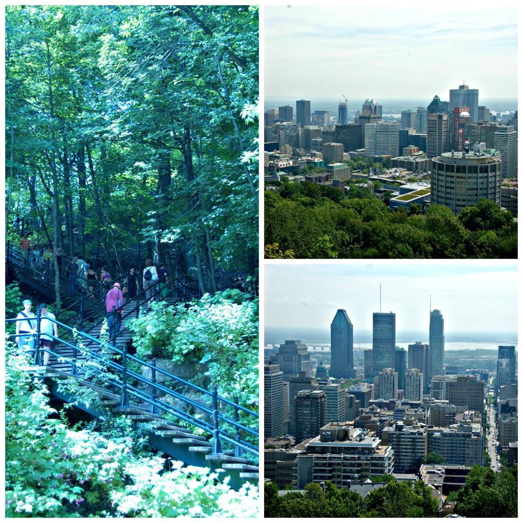 mont-royal collage