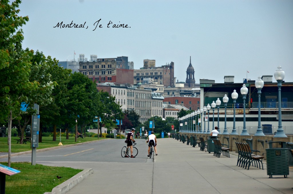 montreal old port
