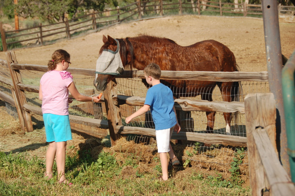 We made regular trips to feed the horses at Bishop's Lodge.