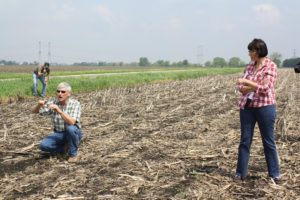 illinois farms