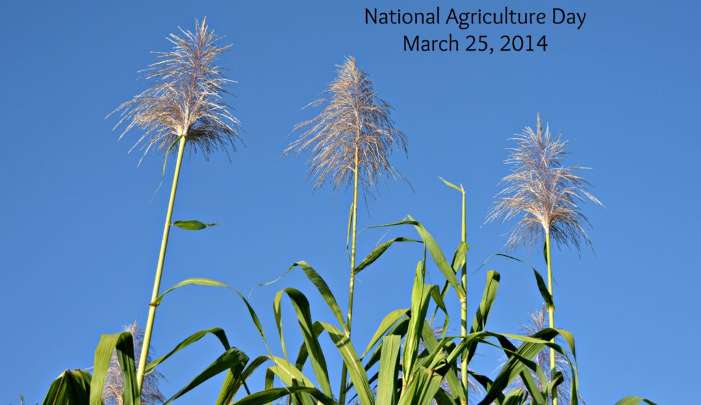 national ag day