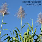Get Ready for National Agriculture Day