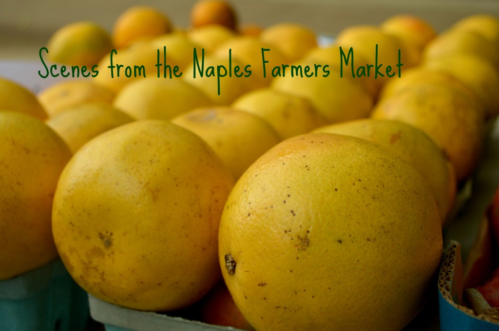 naples farmers market