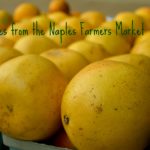 Scenes from the Naples Farmers Market