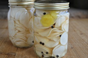 pickled turnips