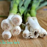Farmers Market Find: Green Garlic