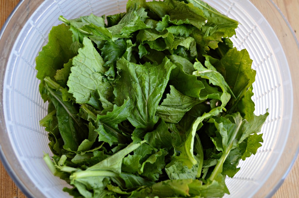 how to cook turnip greens