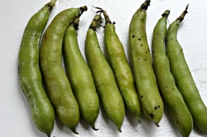 how to cook fava beans