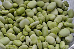 how to cook fava beans