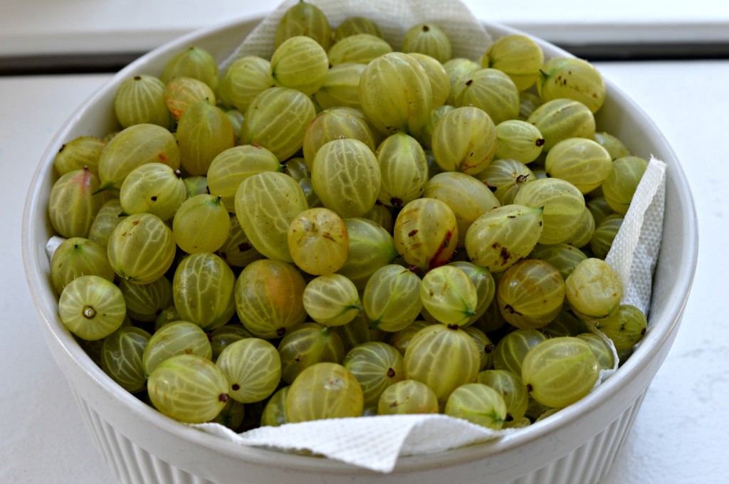 gooseberry recipes