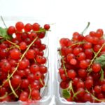 Farmers Market Find: Red Currants