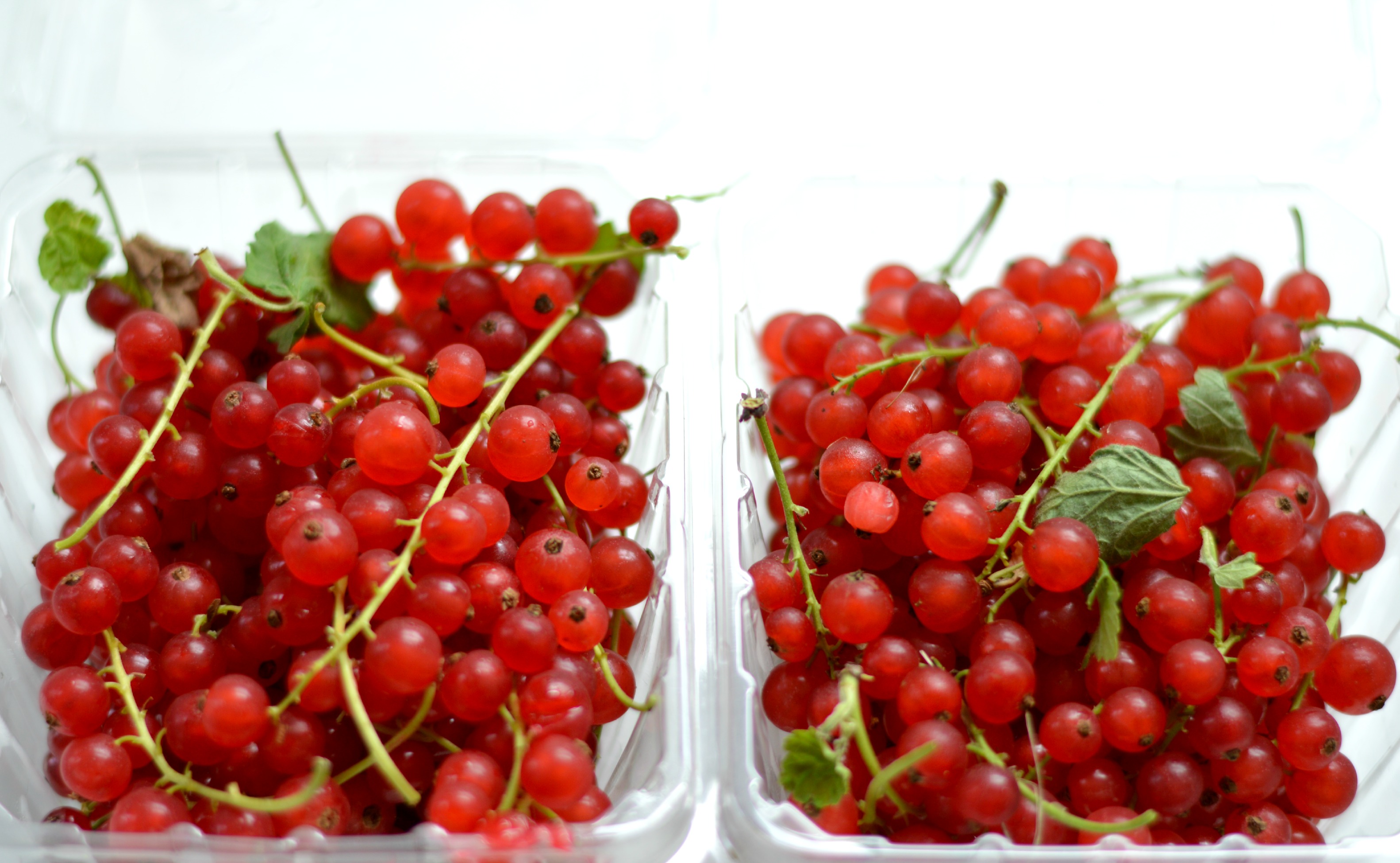 Farmers Market Find Red Currants West Of The Loop