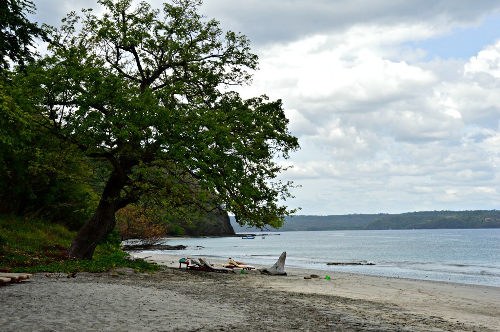 Papagayo bay