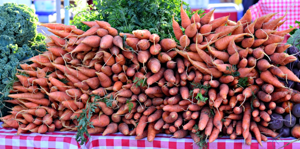 fall crops