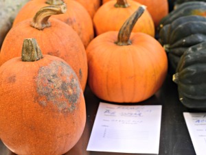 squash at the chicago food swap