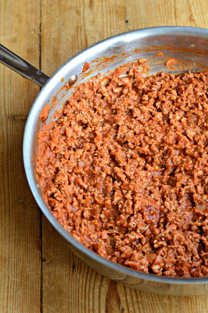 turkey sloppy joe kid friendly