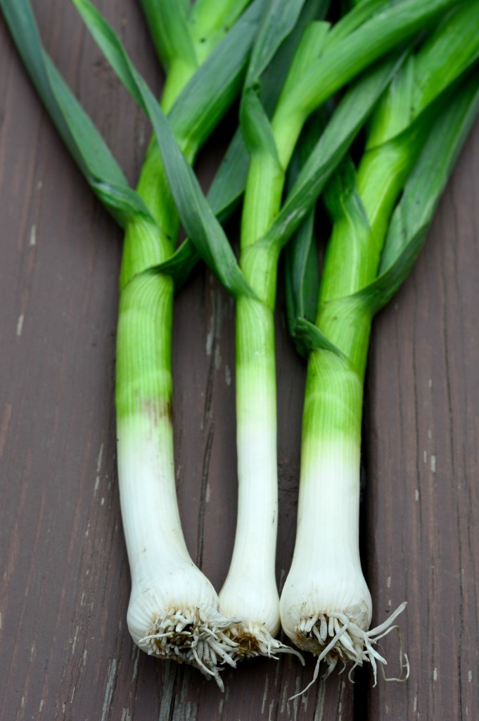 how to use green garlic
