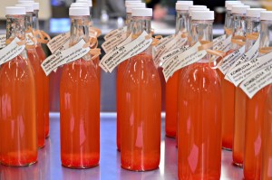 kombucha