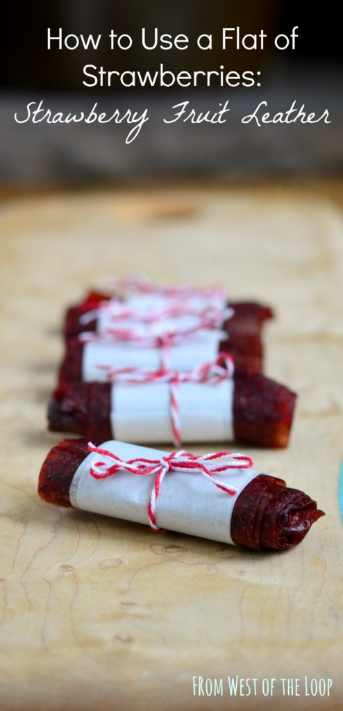 how to make fruit leather 