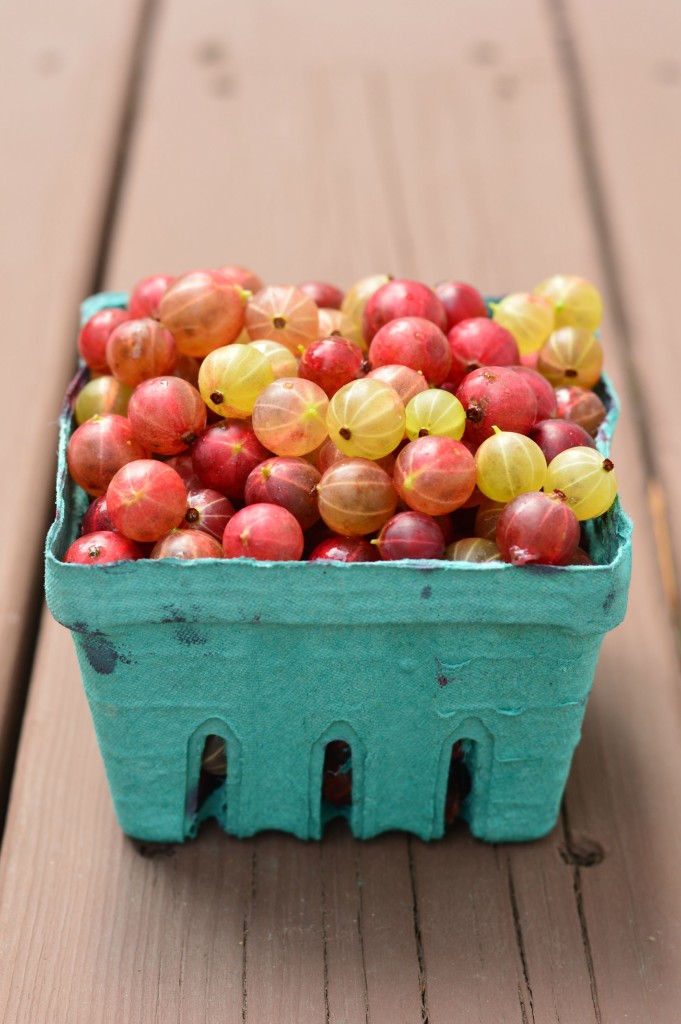how to use gooseberries
