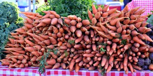 carrot recipes