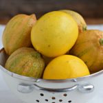 Meyer Lemon Recipe Round-Up