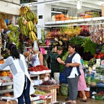 A Visit to Lima’s Surquillo Market