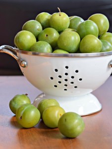 greengage plums