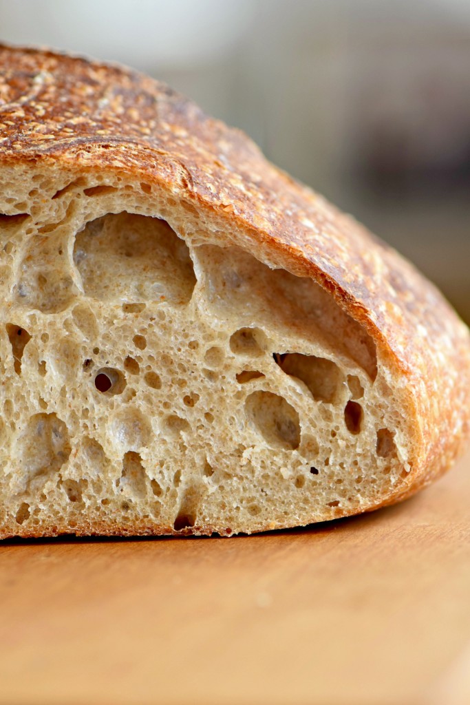 https://www.westoftheloop.com/wp-content/uploads/2016/04/sourdough-bubbles-close-683x1024.jpg