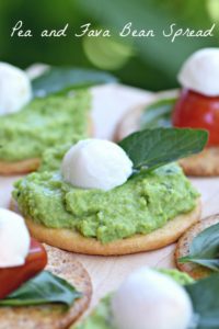fava bean spread