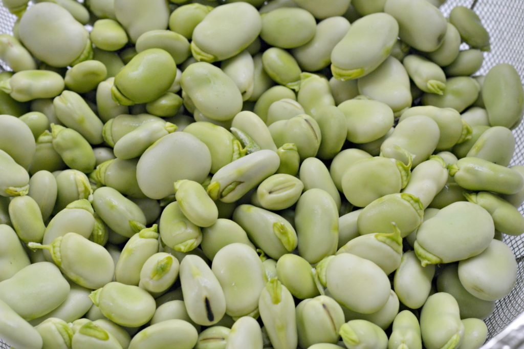 fava beans how to prepare