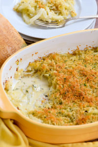 fennel gratin