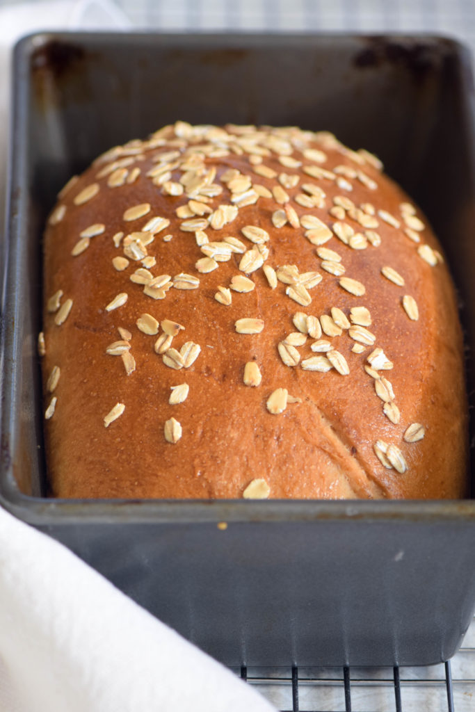 homemade whole wheat bread 