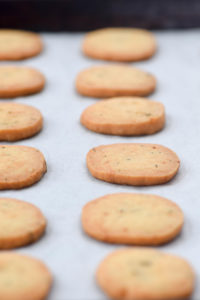 parmesan biscuits