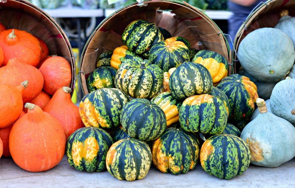 gourds