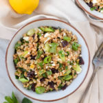 Farro Salad with Preserved Lemon Vinaigrette