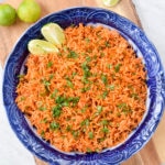 Instant Pot Mexican Rice