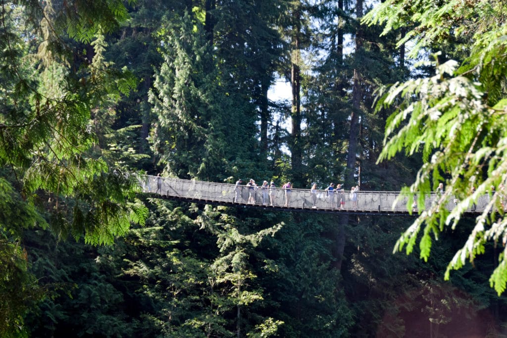 capilano suspension bridge