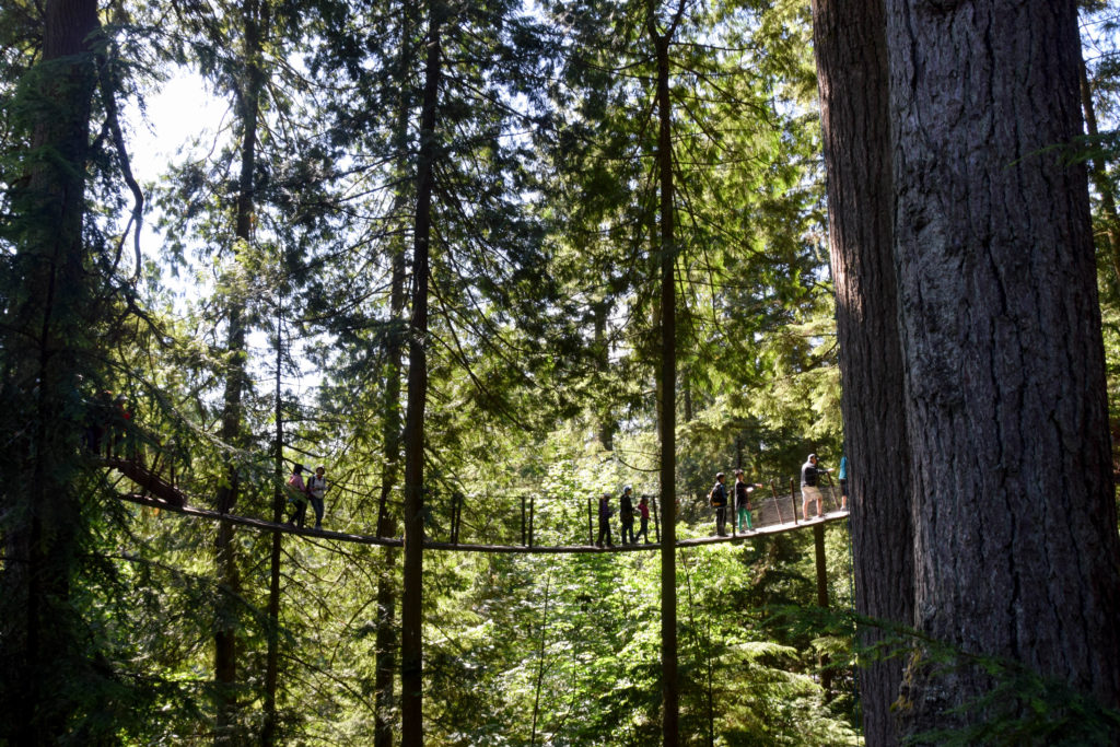 capilano suspension bridge