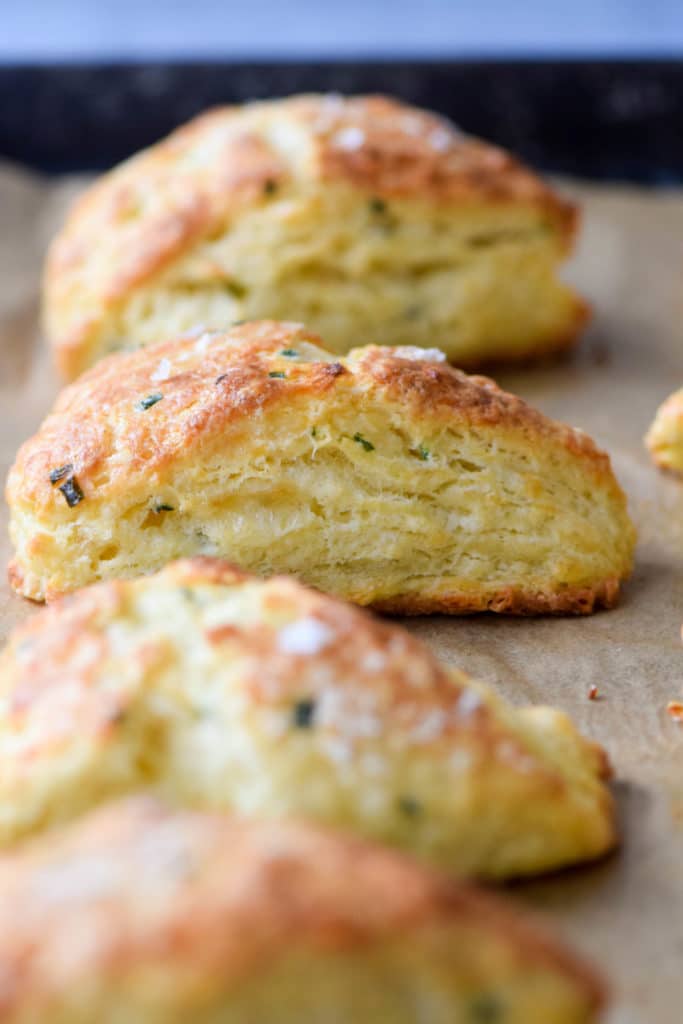 savory scones