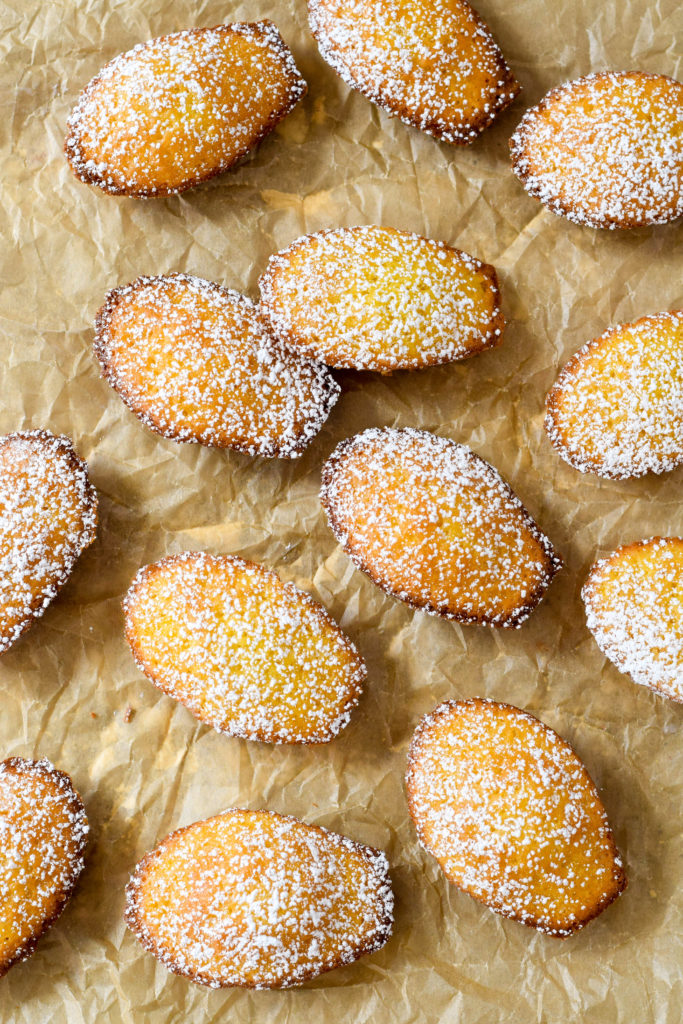 classic french madeleines