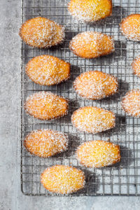 french madeleines